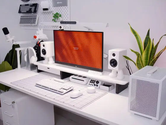 Minimalist Setup | Roo